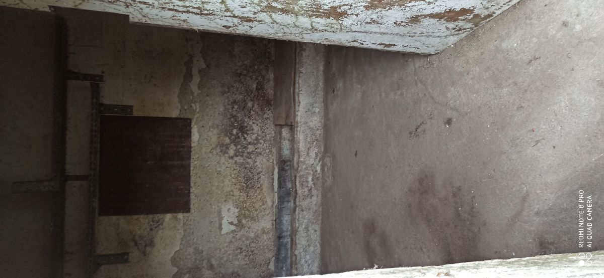 Débarras et nettoyage de cave à Nantes