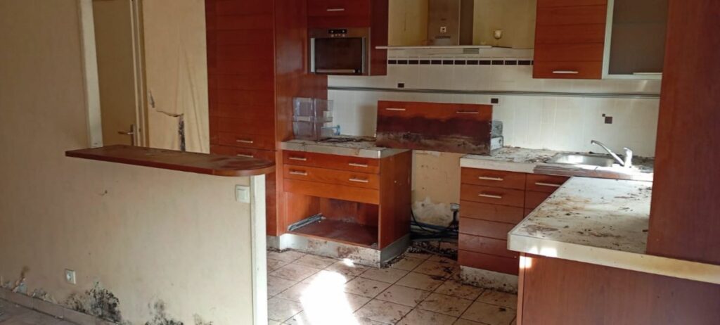 syndrome diogène définition nantes clean ouest